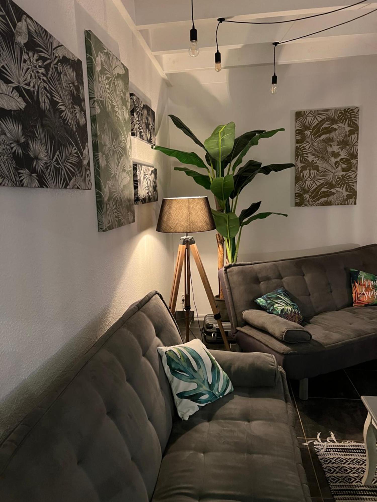 Appartement Spacieux Au Village Du Flamboyant Baie Nettle エクステリア 写真